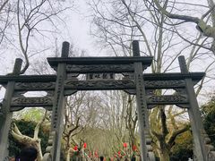 -杭州黄龙洞