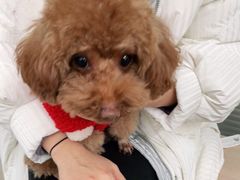 -爱侣宠医·鹦鹉专科·小型哺乳类·异宠专科(灵石路店)