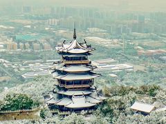 -杭州半山国家森林公园