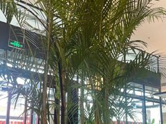 -西堤牛排(南京龙江店)