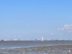 -上海吴淞炮台湾国家湿地公园