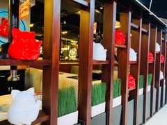 -猫抓烤肉(春熙路店)