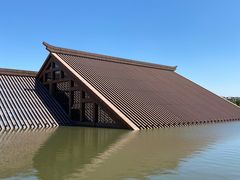 -广富林郊野公园