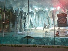 -帝企鹅自助餐厅•儿童岛•真企鹅(长隆企鹅酒店)