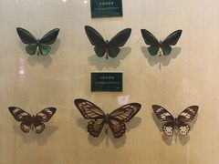 -陕西自然博物馆