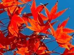 -鸿山遗址博物馆