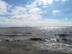 -呼兰河口湿地公园