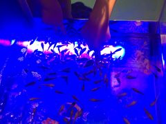 -巴斯漫温泉汗蒸馆(贡湖大道店)