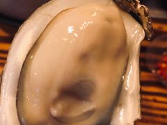 -土蚝·高压锅生蚝(百姓美食街店)