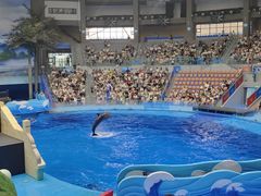 -海合安成都极地海洋公园