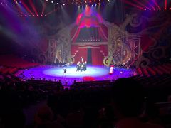 -珠海横琴长隆《卡卡虎奇遇记》