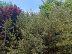 景点-济南森林公园