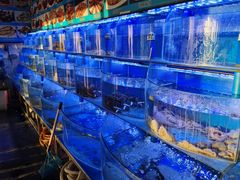 水产区-鼓歌海鲜舫·手抓海鲜(大学城店)