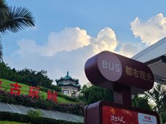 -三峡古玩城(泰古广场店)