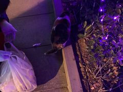 -Iapm环贸地下车库