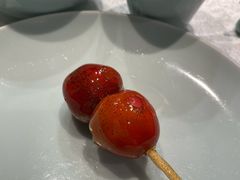 -羲和雅苑•北京烤鸭(陆家嘴中心店)