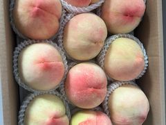 -南汇新场正宗水蜜桃采摘