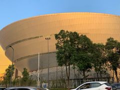 -成都金融城演艺中心