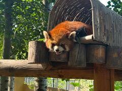 -北京野生动物园