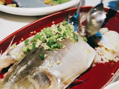 -钟菜·粤菜点心·宴请(海上世界·汇港二期店)