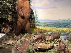 -陕西自然博物馆