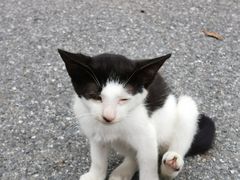 -金石唐风国际温泉会馆