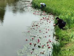 -黄海国家森林公园