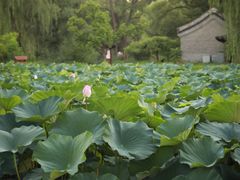 -承德避暑山庄景区