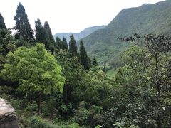-灵栖洞天