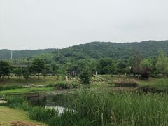 -石塘人家