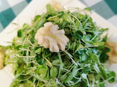 -南来顺饭庄·清真(南菜园店)