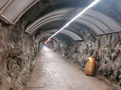-遂昌金矿国家矿山公园