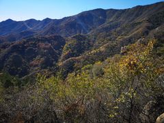 -北京鹫峰国家森林公园