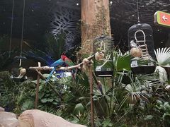 -杭州开元森泊度假乐园