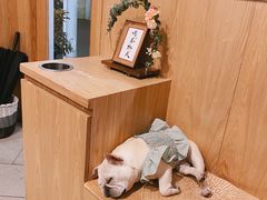 -一杯潮茶·专注潮汕茶饮(朝阳庄店)