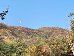 -北京西山国家森林公园