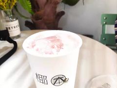 -津椰本·海南正宗椰奶清补凉(店一店)