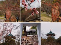 -无锡梅园公园