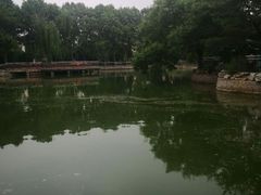 -黄村公园