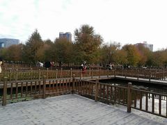 -五缘湾湿地公园