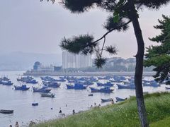 -海源公园