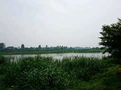 -大田塱鸽庄