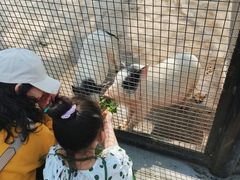 -石家庄市动物园