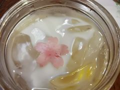 樱花蜂蜜冻奶露-玛格萝妮比萨屋(四平店)