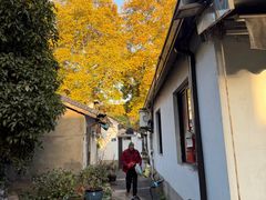 -麦当劳(杭州西湖银泰百货店)