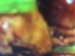 -罗妈砂锅(四川成都奎星楼店)