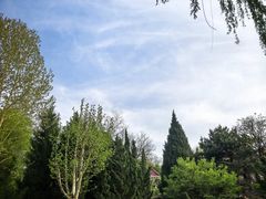 -石家庄市植物园