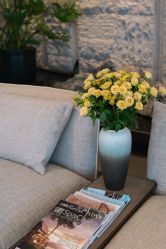 -VELEE·SPA高定疗愈会所