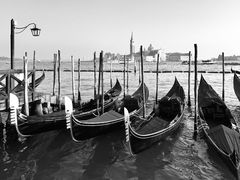 -圣马尔谷圣殿宗主教座堂