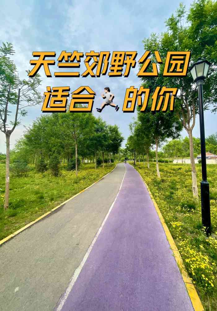 天竺公园-"这个在郊野公园五百米以外的小公园里.有很.